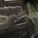 호인목장 이미지