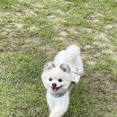 내서읍407 이미지