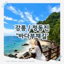 바다길 | 강릉 바다부채길 후기, 정동진에서 꼭 가봐야 할 산책코스