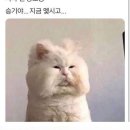 크크문구 - 고양시 일산서구 일산로 542 | 인벤타리오 2026 문구페어 후기