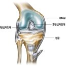 도당태권도장 이미지