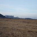 (주)성담솔트베이 이미지