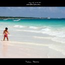 캐리비안 이미지