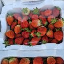 하모니마트법원점 이미지