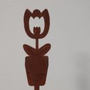 플랜테리어 홈가드닝 이미지