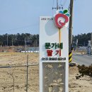 문가네딸기