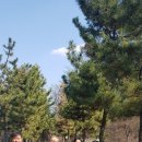 행운건강원 이미지