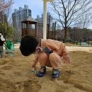 영산강대상공원2 이미지