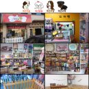 꼬마애견샵 이미지