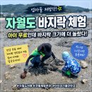 ❗엄마들 저장각📌 자월도 바지락 체험 후기, 아이는 무료인데 바지락 크기에 더 놀랐다