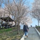 신촌정자경로당 네이버블로그