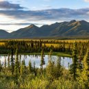 이레 행정사 사무소 이미지