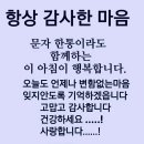 100세의료기 이미지