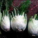 준혁농장 이미지