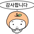 기아오토큐(소촌점) 네이버블로그