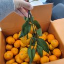 지승농장 이미지