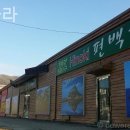 건강한편백나라