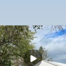 퍼피멜로디 이미지