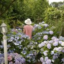 수국펜션 이미지