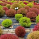 이엘메디 이미지