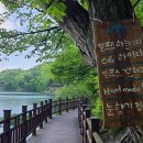 힐링 행정사사무소 이미지