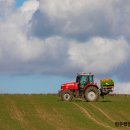 천우 행정사 사무소 이미지