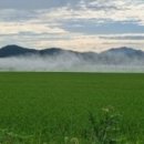 법인태산축산