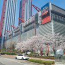 그린페어 | 디어 마이 리더 북페어 후기