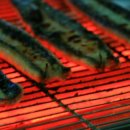 영천민물장어 이미지