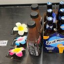 베리인더볼(Berry In The Bowl) | [2025.09.05-2025.09.08] 1박 4일 괌