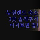 폭스모텔 | 뉴질랜드 여행 숙소 3곳 | 빙하마을 글렌페른 빌라 웨스트헤이븐 모텔 | 가성비부터 럭셔리까지 솔직 후기