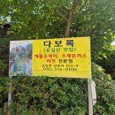 운길산다보록 | 힘든 운길산 산행 후 완벽한 보상, 운길산역 맛집 '다보록' 시원한 묵밥과 바삭한 미나리전 후기