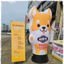 씨유펫월곶점