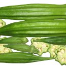 더오크라 이미지