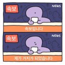 카페모음