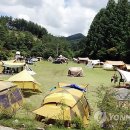 금산 자연 오토캠핑장 이미지
