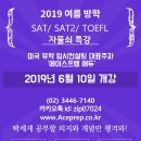 에이스인턴십