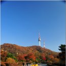 남산 이미지