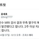 오지환 우측 옆구리 복사근 미세손상 2주이상결장.twt 이미지