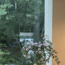 난곡동-51 이미지