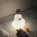 뚱오리 | 우리 집 밤의 힐링템, 무둥 꽃뚱오리 무드등