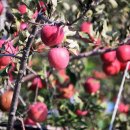 부석사가는길에 이미지