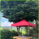 서현민박 이미지