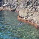 옵타티오펜션 이미지