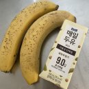 오렌지김밥 이미지