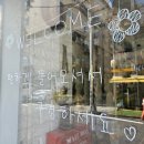 퍼피쌀롱 이미지