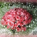 행복한하루 이미지