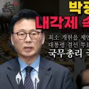 [국무총리 국회복수추천제는 내각제] 뭘 말하건 결국 내각제 국회의장 4년중임제 개헌 약팔기 헌법개정특별위원회 분권과 협치 대통령제 권력 이미지