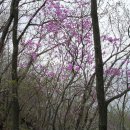 마당바위 이미지