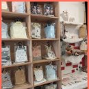 강아지를 미용하는 여자 이미지